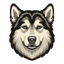 Koda Aero